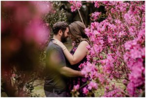 katie-adam-jungle-gardens-0166-300x201 Blog - NEW